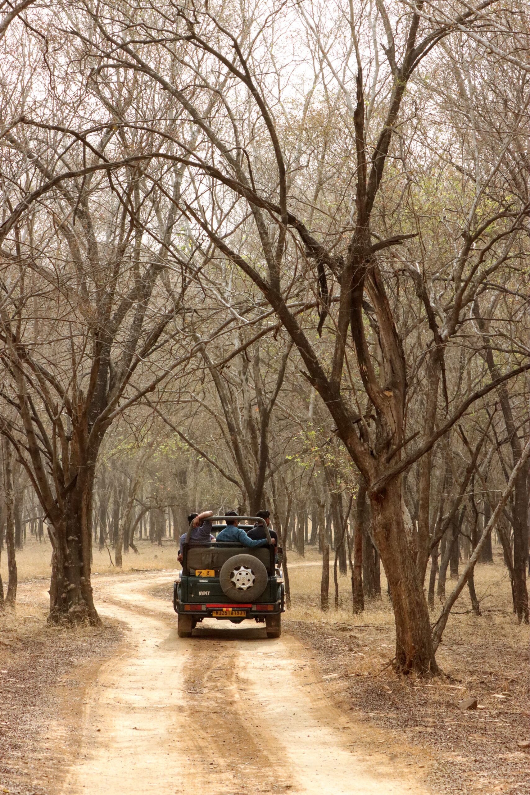 Ranthambore National Park