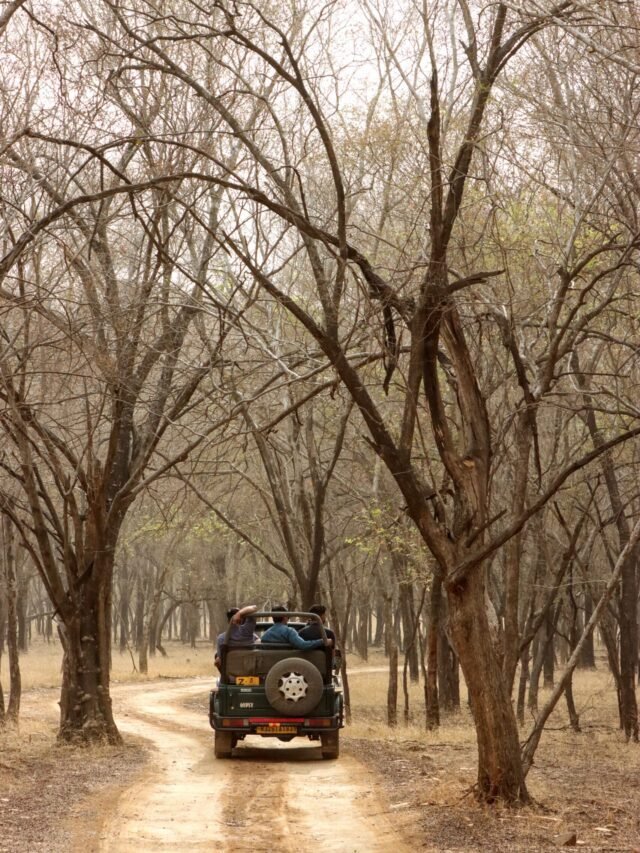 10 Popular National Parks in India