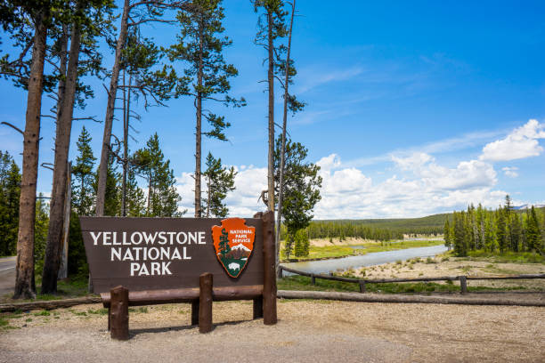 Yellowstone National Park