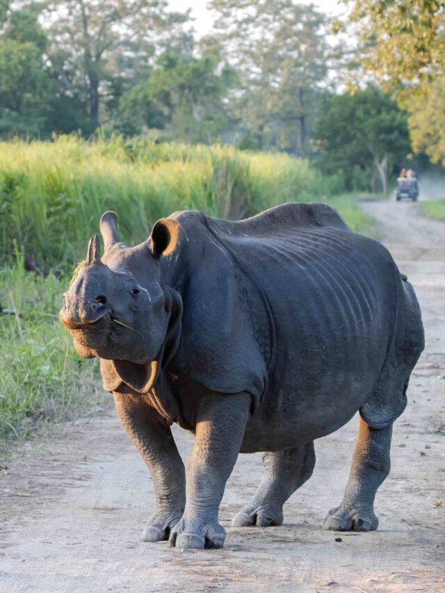 National Parks in India